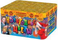 Новогодние цветы Фейерверк купить в Богучаре | boguchar.salutsklad.ru