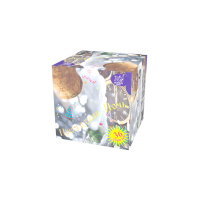 Новогодняя ночь Салют купить в Богучаре | boguchar.salutsklad.ru