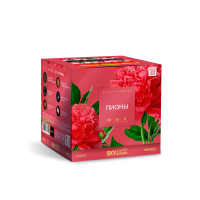 Пионы Салют купить в Богучаре | boguchar.salutsklad.ru