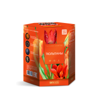 Тюльпаны Салют купить в Богучаре | boguchar.salutsklad.ru