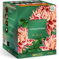 Хризантемы Фейерверк купить в Богучаре | boguchar.salutsklad.ru