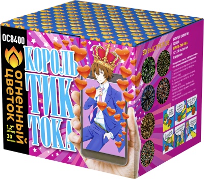 Король Тик-Тока Батарея салютов купить в Богучаре | boguchar.salutsklad.ru