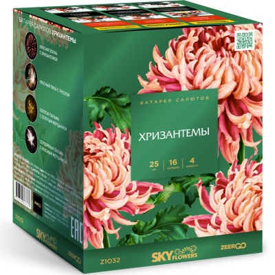 Хризантемы Фейерверк купить в Богучаре | boguchar.salutsklad.ru