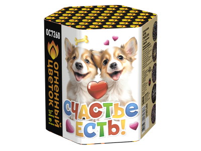 Счастье есть! Салют купить в Богучаре | boguchar.salutsklad.ru