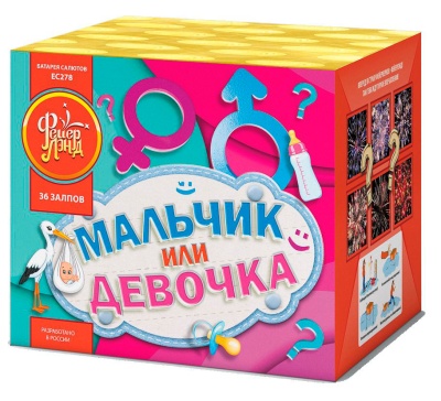 Мальчик или девочка М Фейерверк купить в Богучаре | boguchar.salutsklad.ru